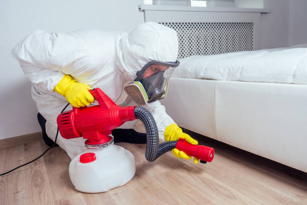 Best Bed Bug Extermination  in Paulina, LA